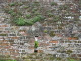Verdedigingswal Culemborg